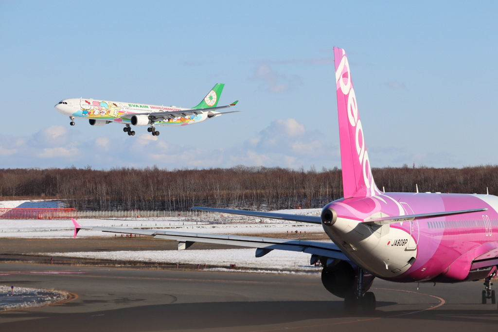ピーチ と EVA AIR