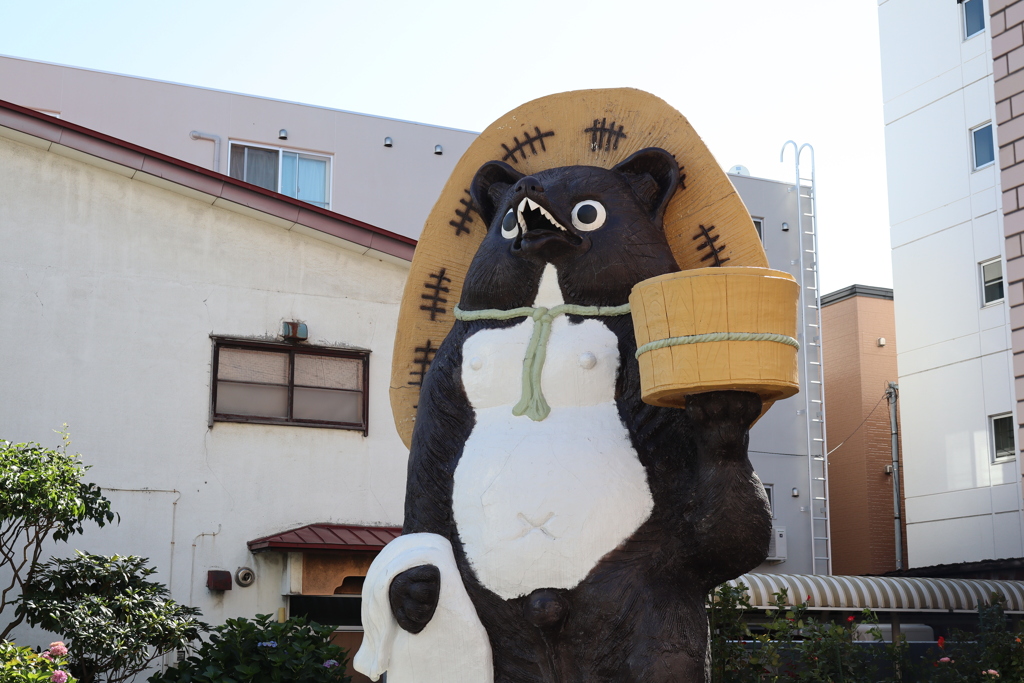 本物の狸の腹は白くない