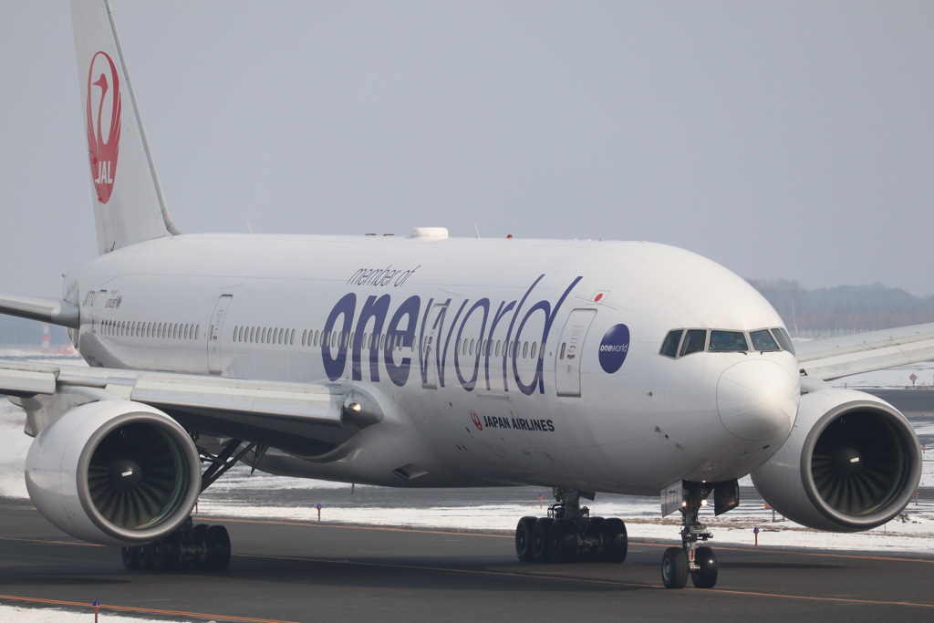 JAL oneworld