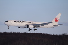 雪レフのJAL