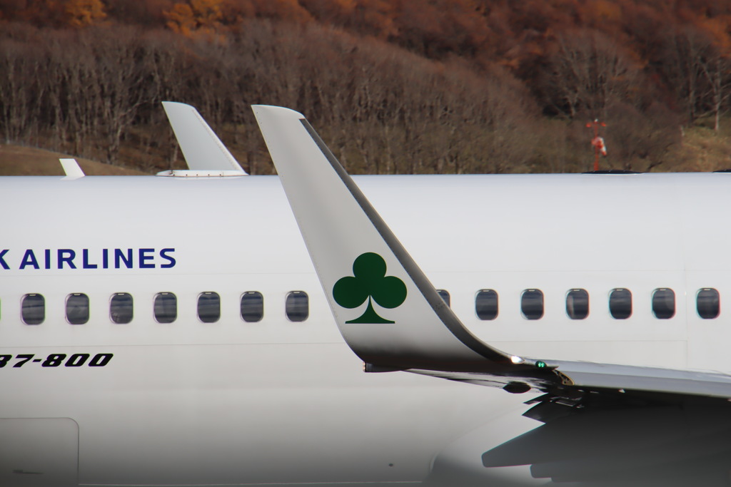 SKYMARK クローバー
