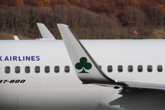 SKYMARK クローバー