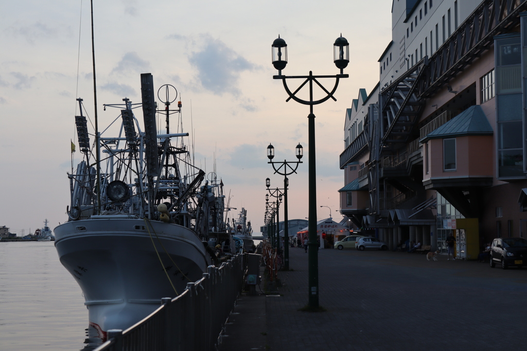 幣舞橋からの風景