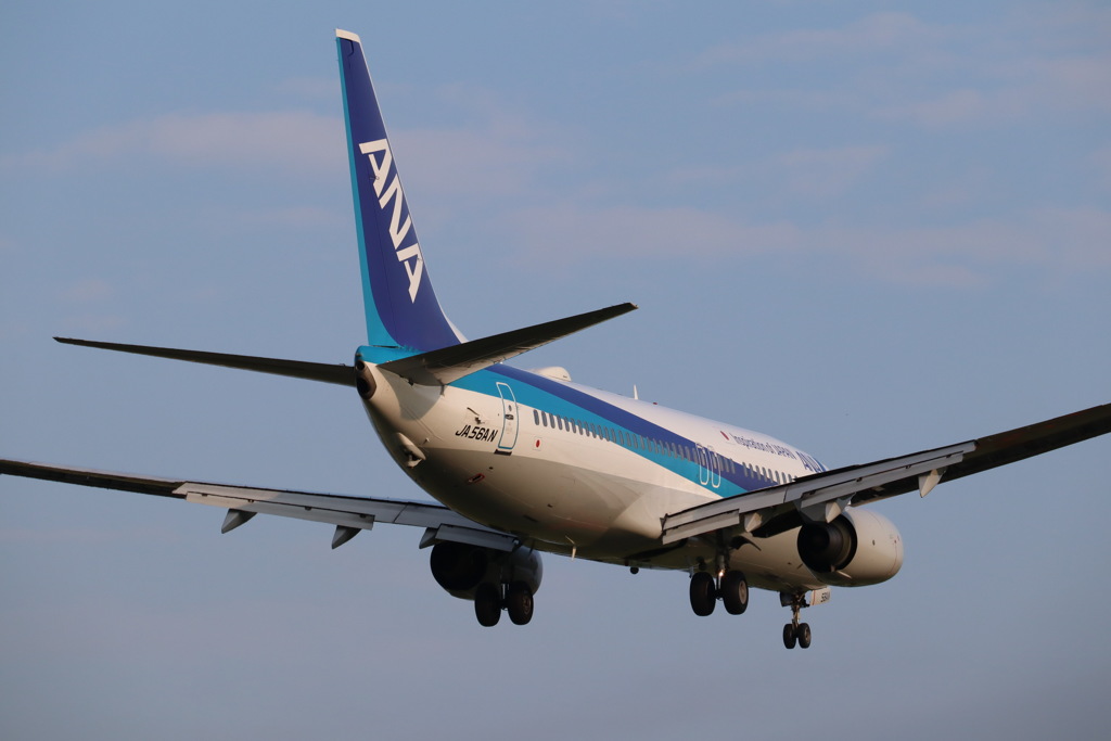 ANA