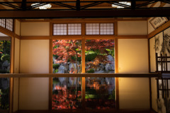 古き良き床紅葉