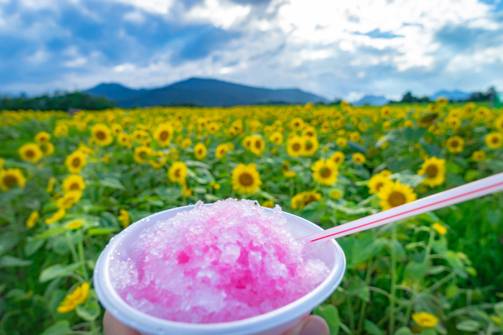 俺の夏っ!!!!