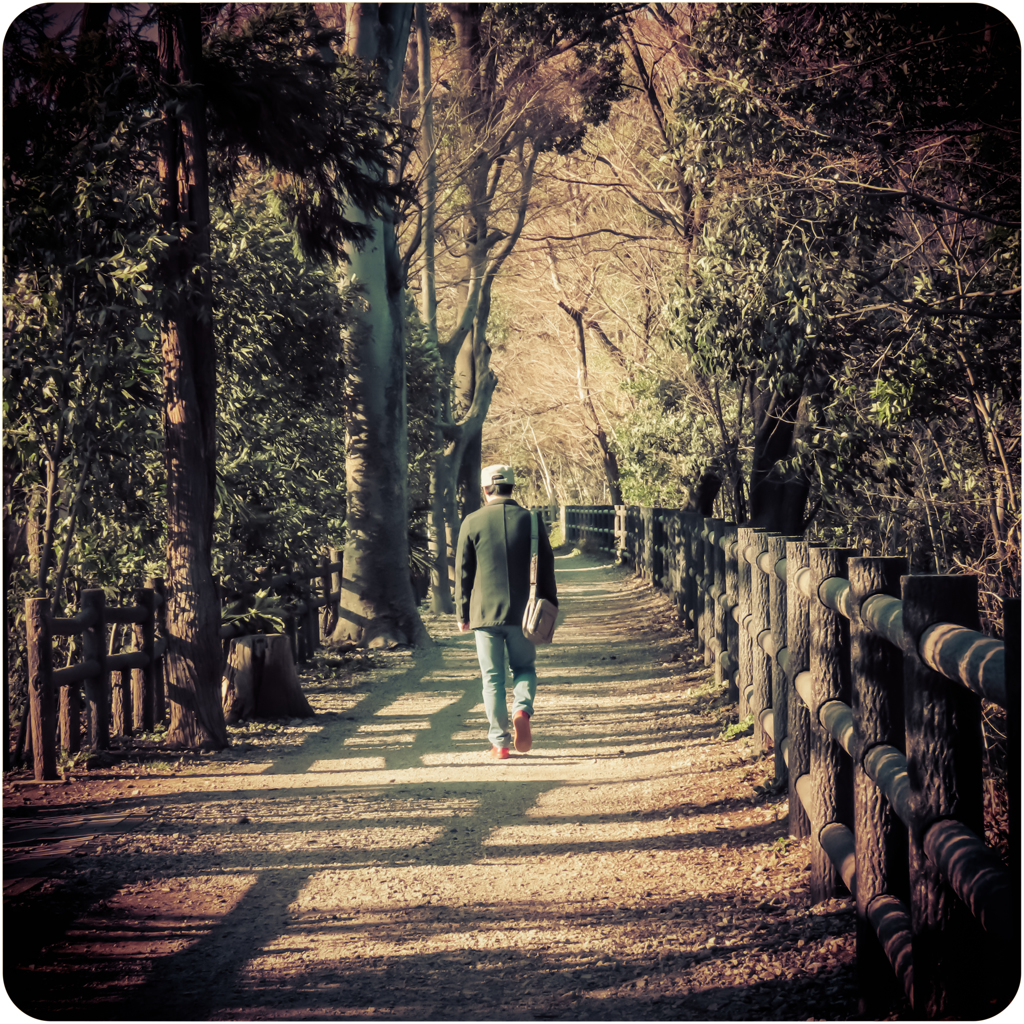 トイカメラ風 No1