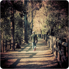 トイカメラ風 No1