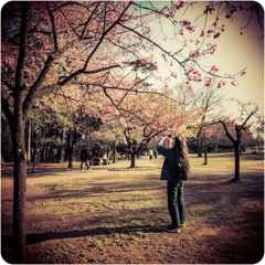 トイカメラ風 No3