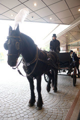 ウェスティンホテル東京‎(恵比寿) 11