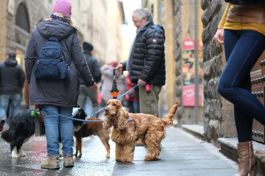 2017 イタリア（ローマ）10