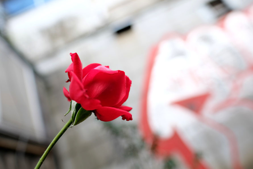 XF16mm. F1.4 R WR _ 01