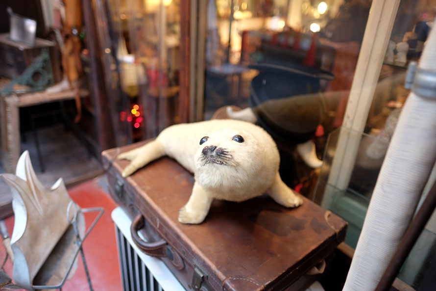 XF16mm. F1.4 R WR _ 09