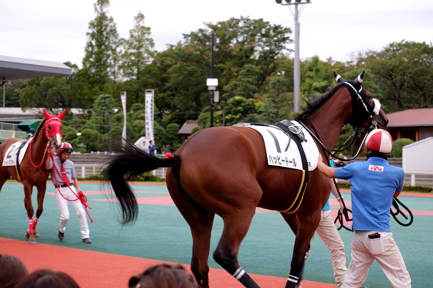 大井競馬場　02