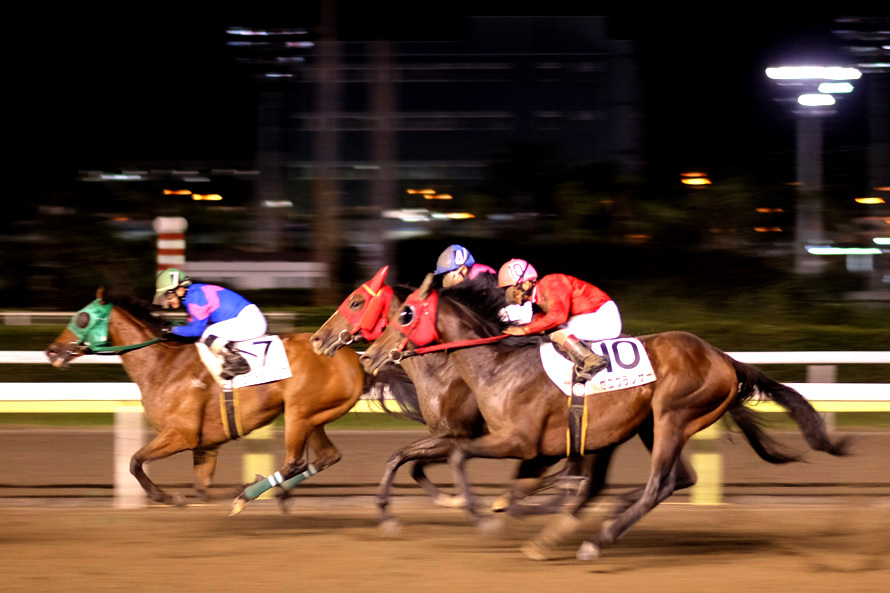 大井競馬場　10