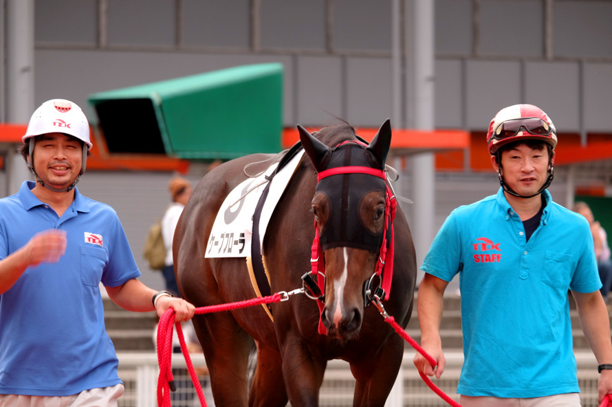 大井競馬場　03