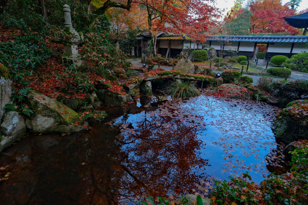 金剛輪寺　秋８