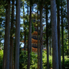 佐渡の旅　妙宣寺