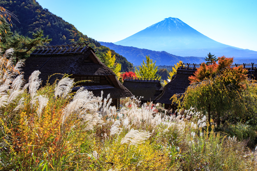 里山の秋