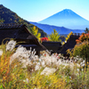 里山の秋