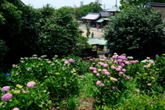 大塚山性海寺