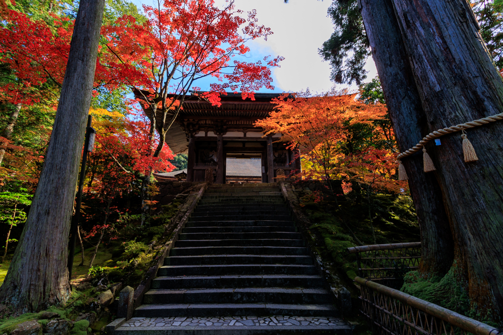 西明寺　二天門　秋