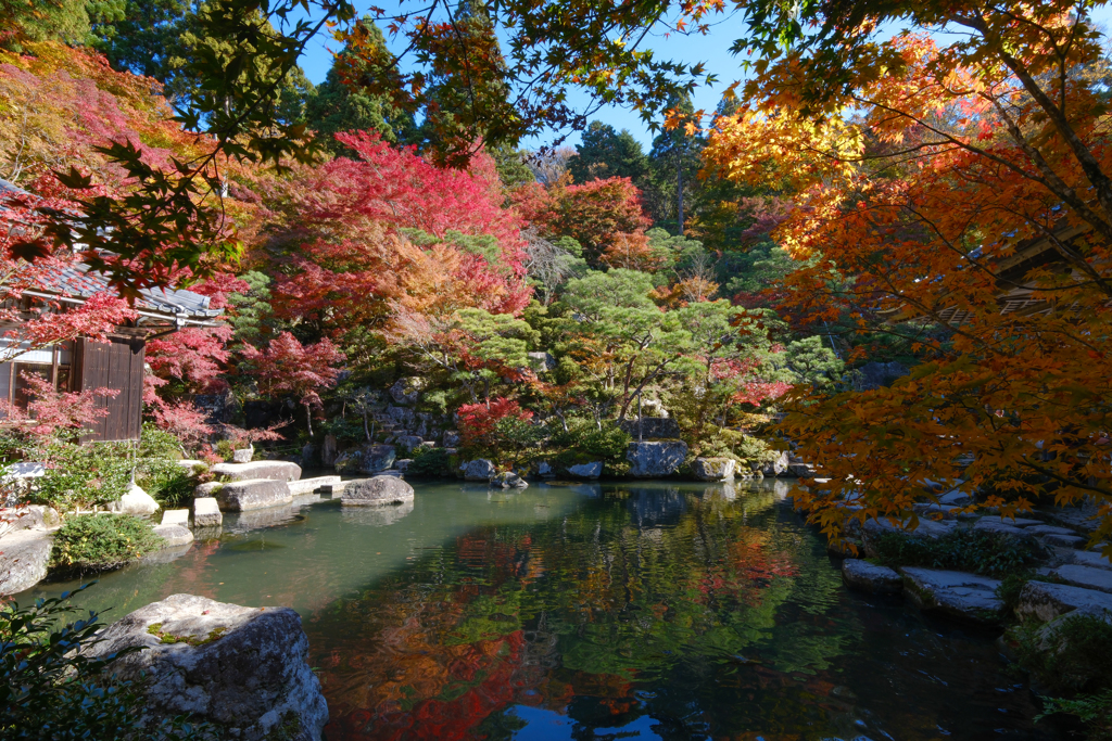 百済寺　錦秋