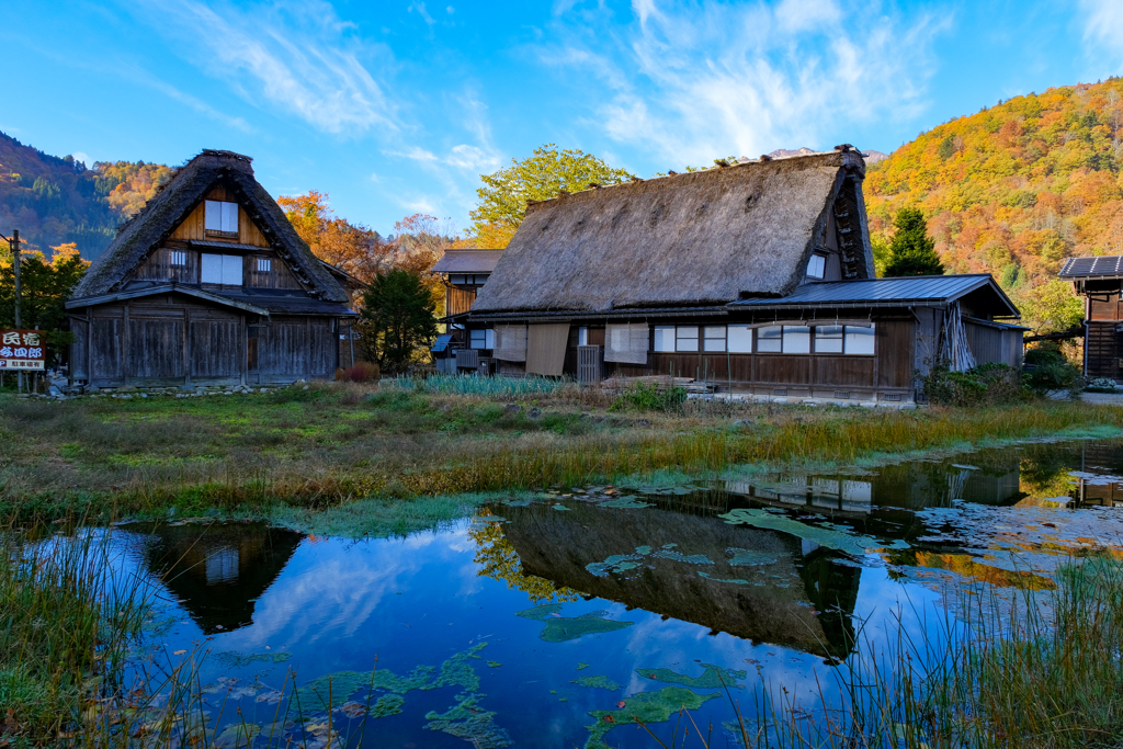 白川郷　紅葉の頃３