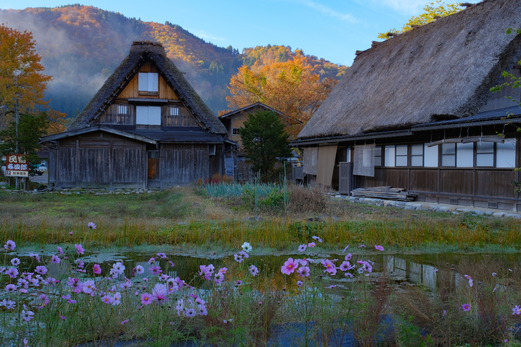 白川郷　紅葉の頃４