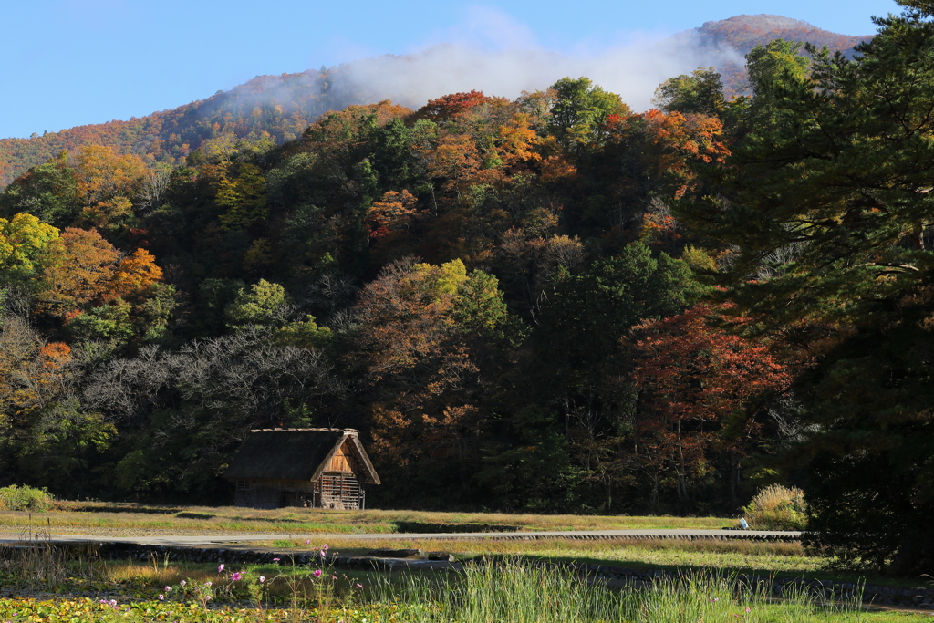 山里の秋