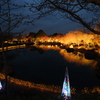 夜の輝き