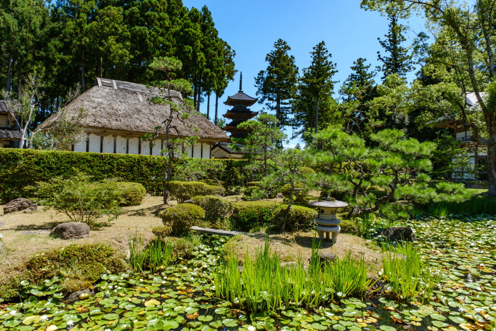 佐渡の旅　妙宣寺庭園