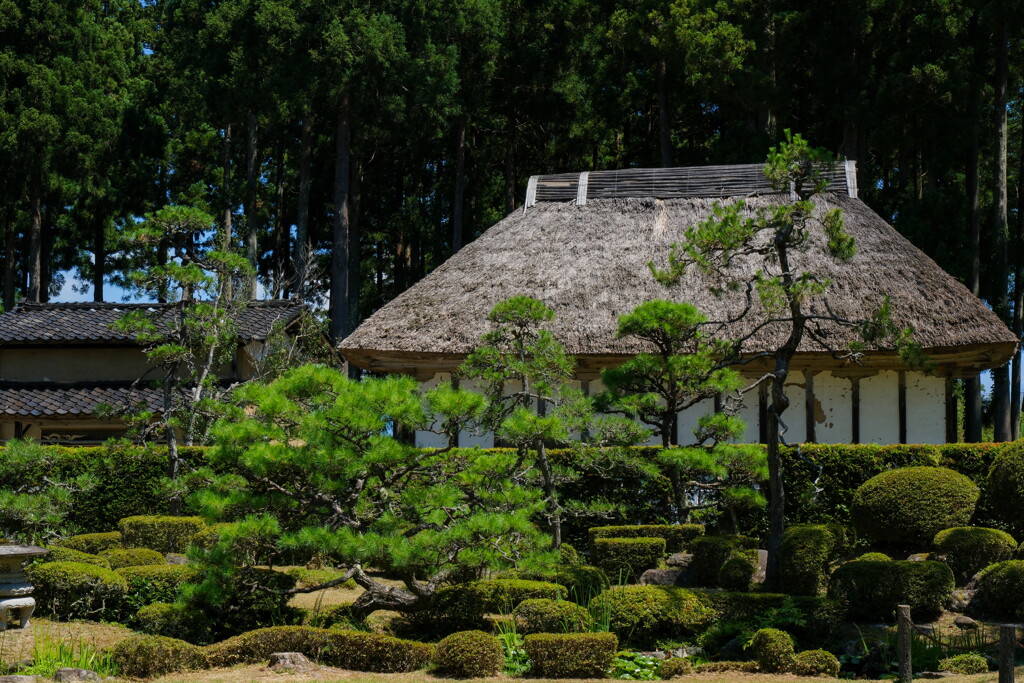 佐渡の旅　妙宣寺