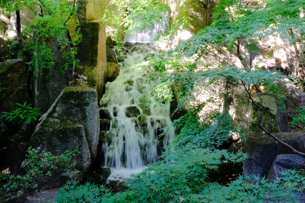 緑陰の滝