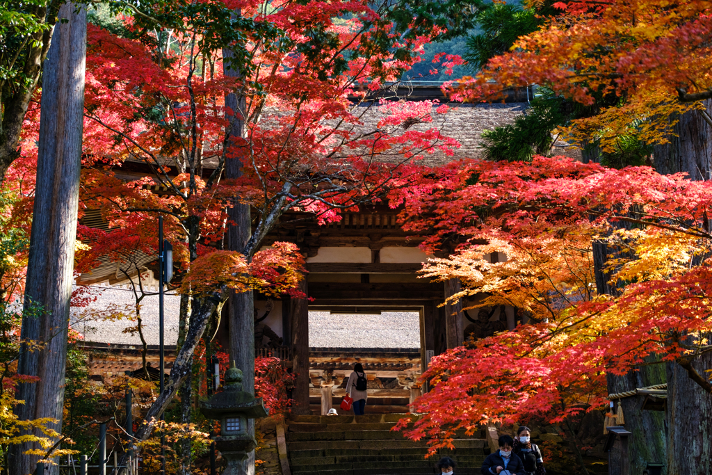 西明寺　錦秋
