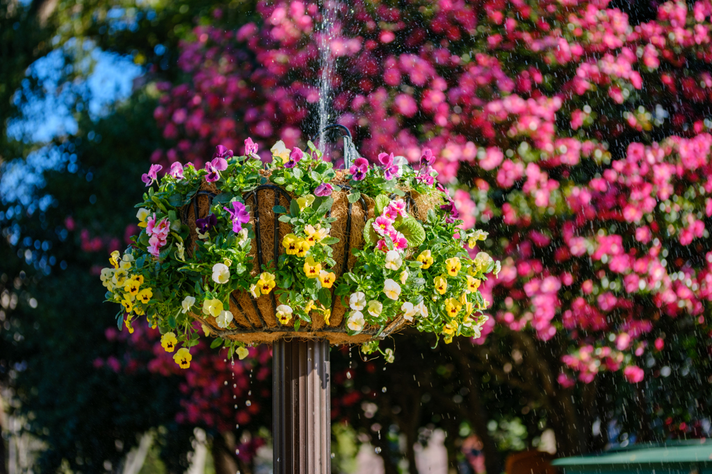 花噴水