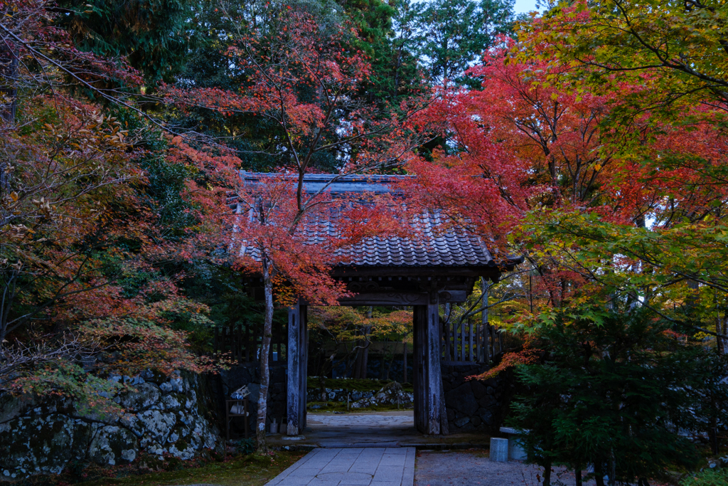 金剛輪寺　白門　秋