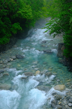 雨上がりの溪谷　Ⅱ