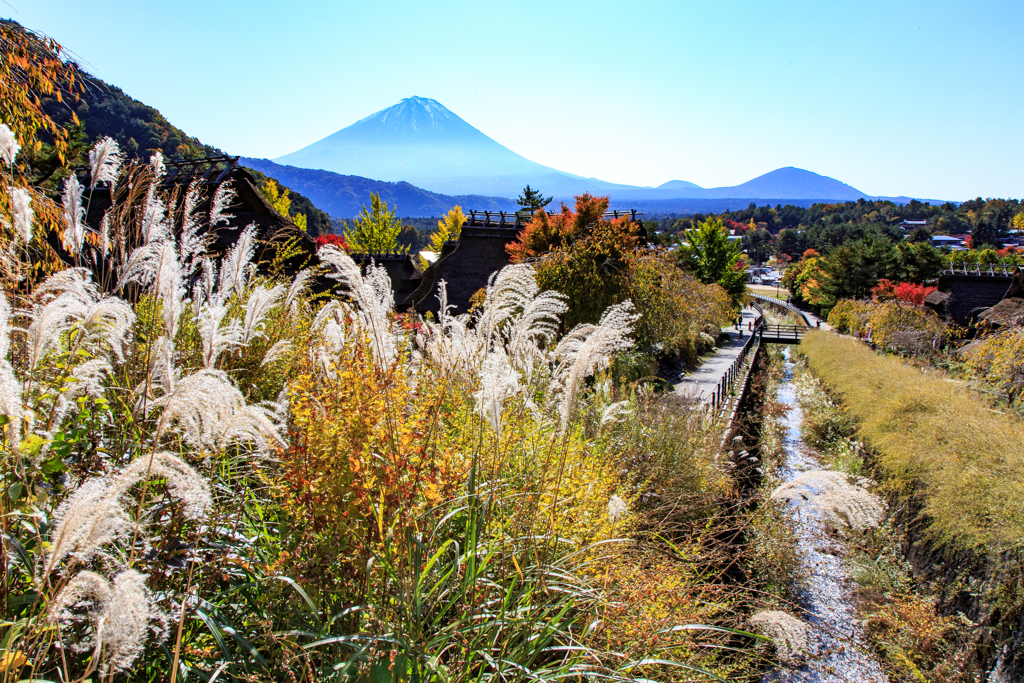 里山の秋