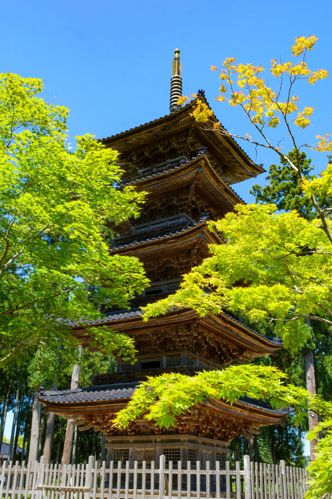 佐渡の旅　妙宣寺
