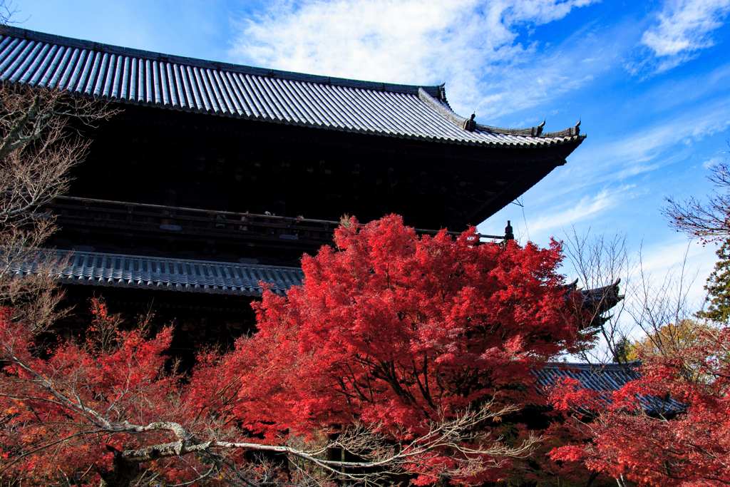 秋晴れの南禅寺