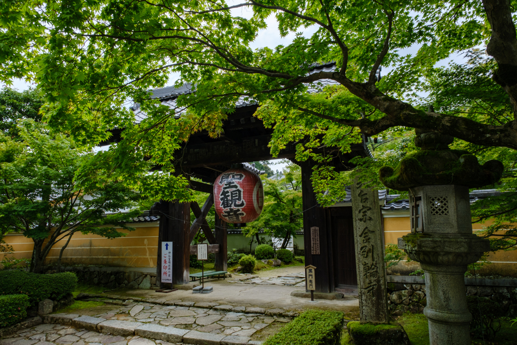 金剛輪寺黒門　新緑の頃