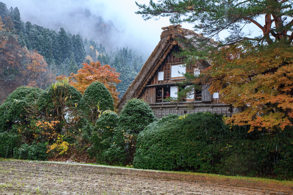 晩秋の白川郷