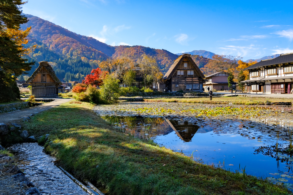 白川郷　紅葉の頃15