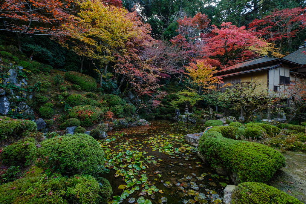 金剛輪寺　秋４