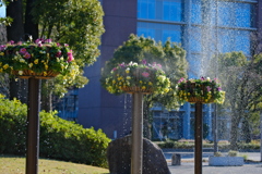 花噴水