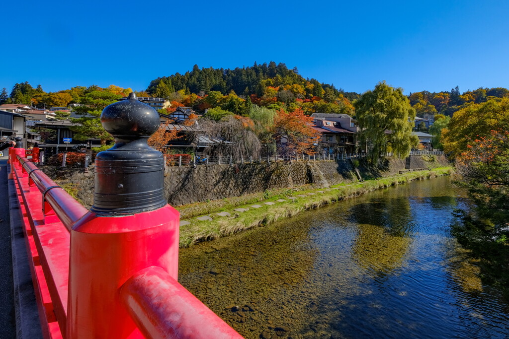 高山散策　紅葉の頃２