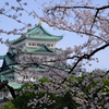 城を彩る