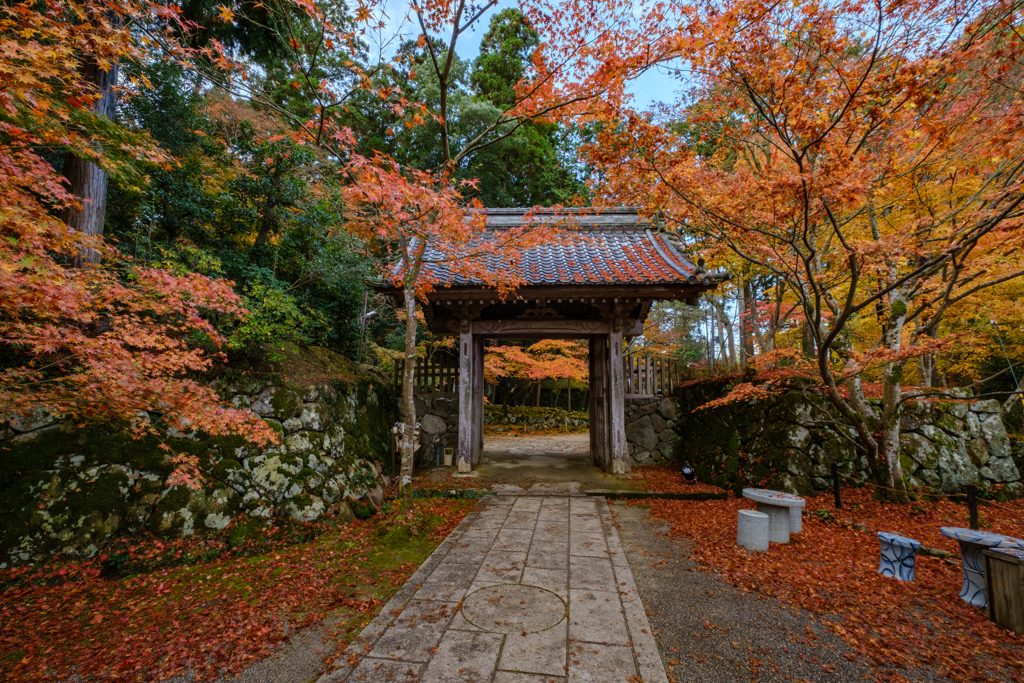 金剛輪寺　秋３