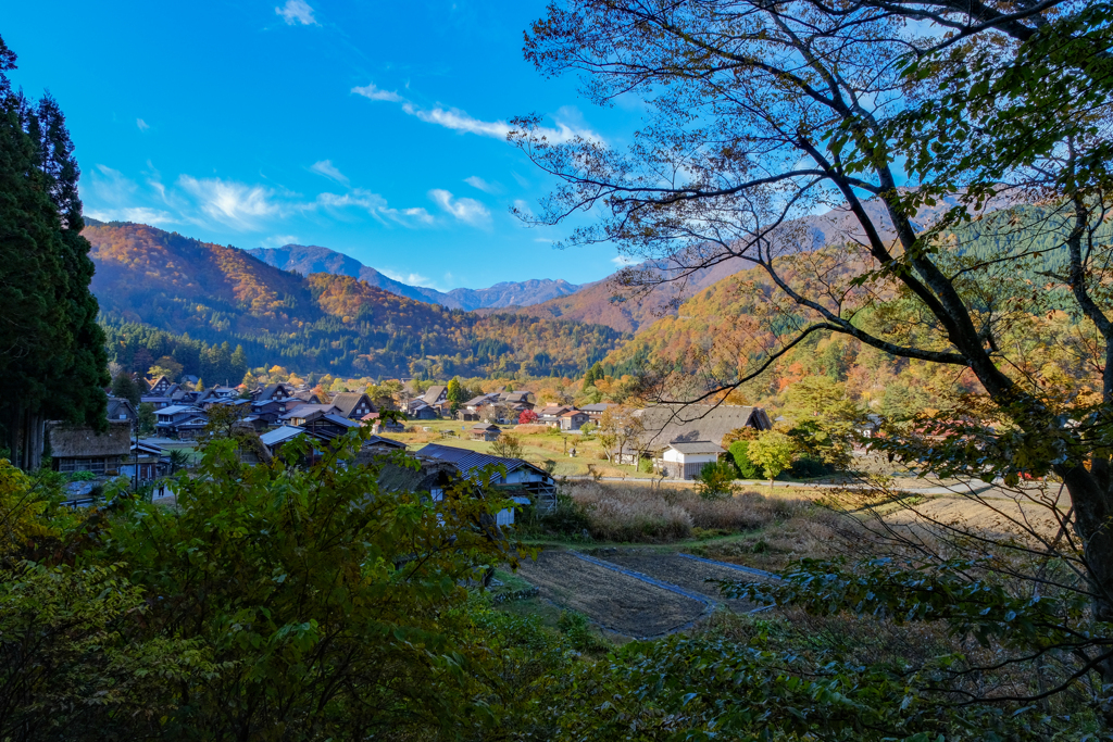 白川郷　紅葉の頃５